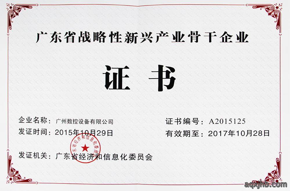 广东省战略新兴骨干企业
